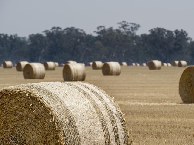 Hay prices stagnate, sheds full