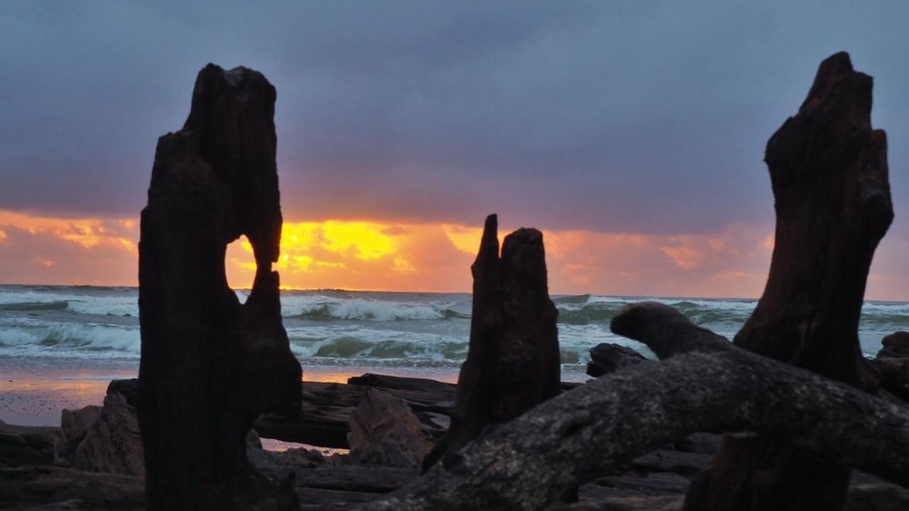 Thanks to Lynne East for this shot of Woopi. Coffs cover image.