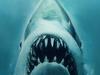 Life of Jaws