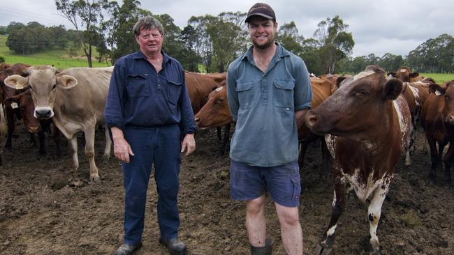 Will Russell and his father, Rob, run 300 Illawarra dairy cows on their farm at Jellat Jellat, in the NSW Bega Valley. Pictures: Supplied