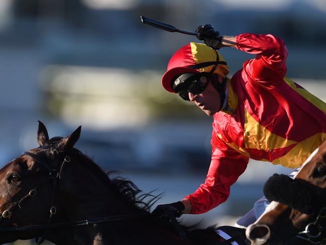 That will do: Jockey Glen Colless celebrates as Malaguera hangs on to win the feature event at Doomben. Picture: AAP