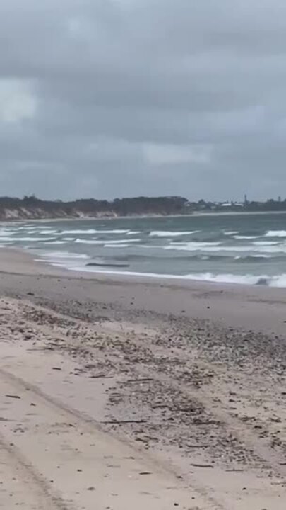 Video emerges of possible croc sighting in the Bundaberg region.