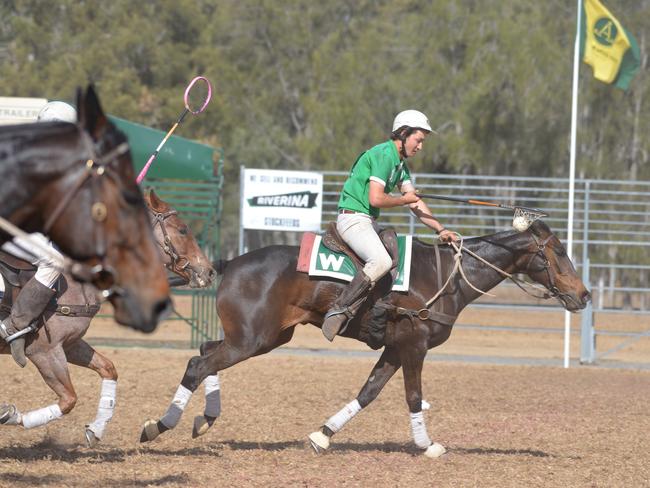 Callum Brook in action at Polocrosse (Photo: Gerard Walsh)