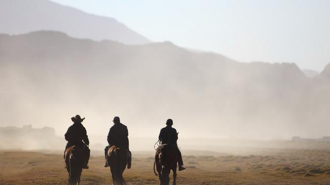 A generic photo of stockmen.