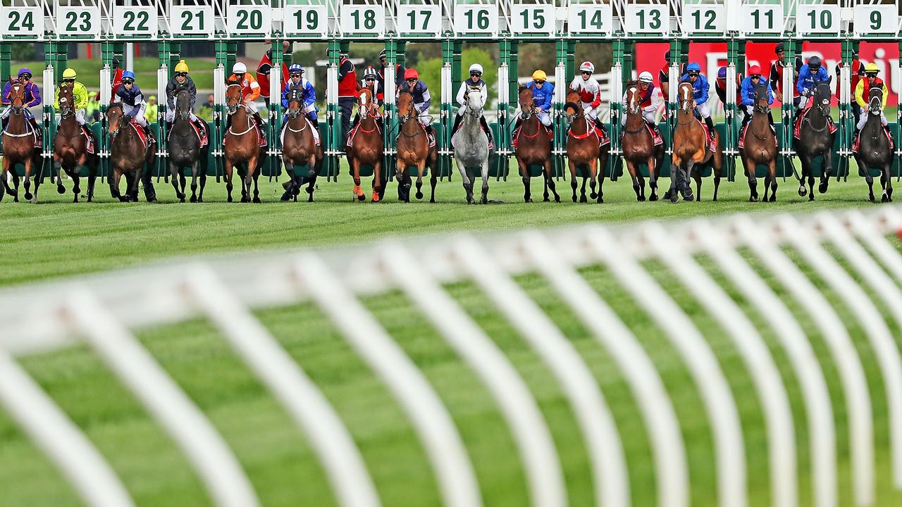 Melbourne Cup 2023 start time, date, what time is it on, hoses, latest odds, prizemoney, who is the favourite?