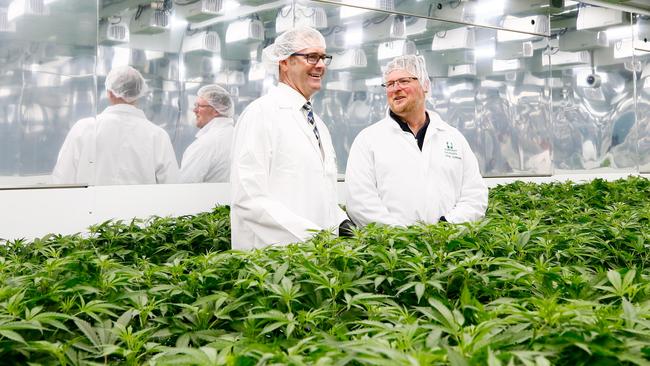 Minister for state growth Michael Ferguson in Tasmanian Alkaloids' new medical cannabis facility with chief scientist in agricultural research and development, Greg Symons. Picture: PATRICK GEE