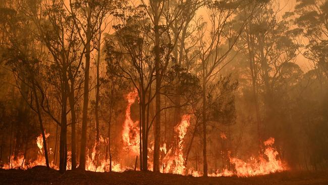 A bushfire burns in the town of Moruya, south of Batemans Bay, in New South Wales on January 4, Picture: AFP