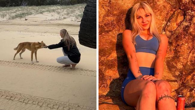 Gold Coast Influencer’s dingo picture slammed