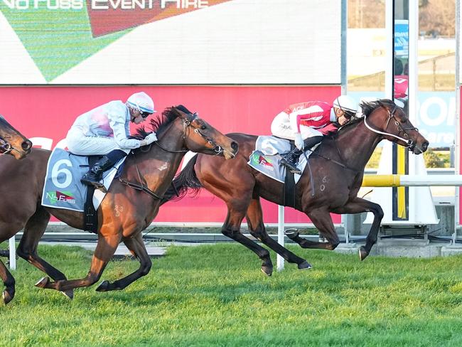 Il Cubo ridden by Thomas Stockdale wins the No Fuss Event Hire 0 - 64 Handicap at Cranbourne Racecourse on June 23, 2024 in Cranbourne, Australia. (Photo by Scott Barbour/Racing Photos via Getty Images)