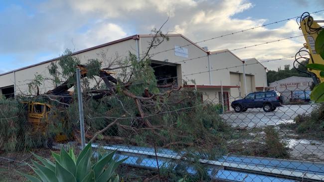 Fallen trees have blocked access points to an industrial business at Mawson Lakes overnight. Picture: Steve Tehan