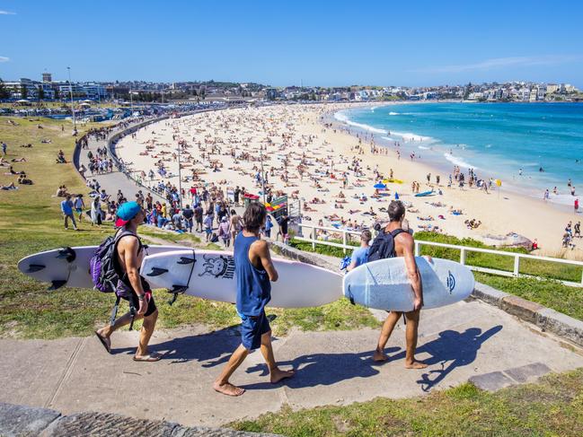 Shark nets will stay on at Bondi Beach despite calls to remove them, the government has confirmed.