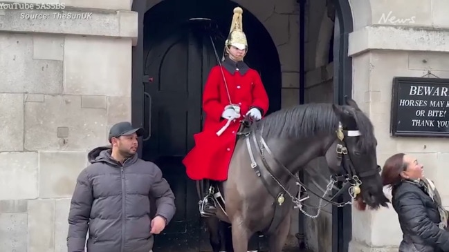 King’s Guard horse bites woman’s hair near Buckingham Palace | Video ...