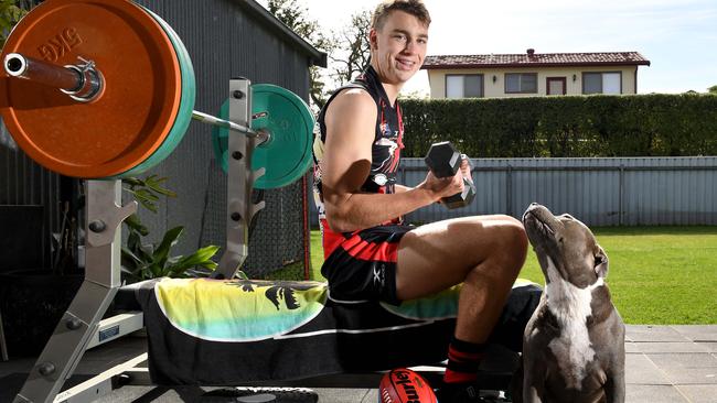 Riley Thilthorpe gets to work on the weights in the backyard of his Everard Park home, with the support of dog Axel. Picture: Tricia Watkinson.