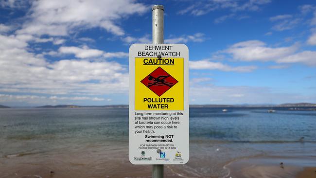 A sign warning against swimming at the southern end of Blackmans Bay Beach. Picture: SAM ROSEWARNE