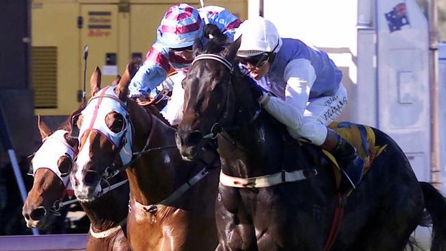 Smart Chariot (outside) ridden by jockey Craig Williams at the Sunshine Coast. Picture: Barry Pascoe.