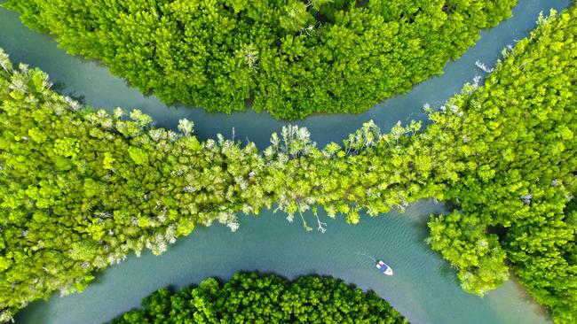 A Sharks And Rays Australia research vessel pictured at the Skardon River about 700km northeast of Cairns. Picture: SARA/Johnny Gaskell.