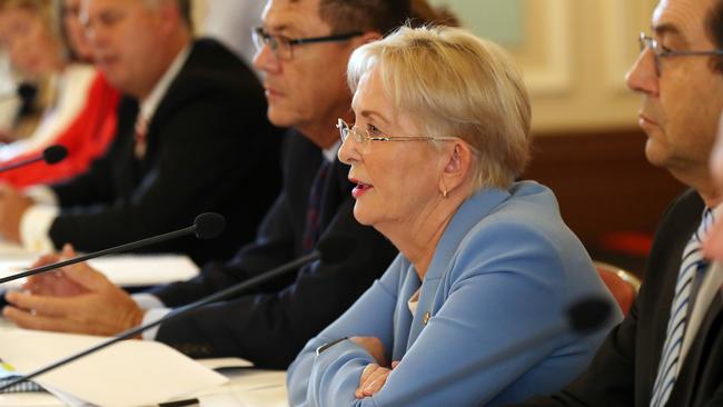 Shadow Minister for Health and Ambulance Services Ros Bates during Estimates Hearings at Parliament House. Pics Tara Croser.