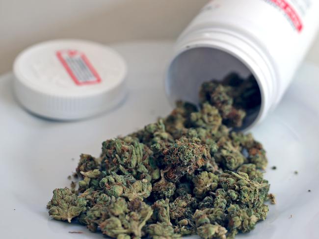 SYDNEY, AUSTRALIA - NewsWire Photos - NOVEMBER 10, 2023: General generic editorial stock image of medical medicinal cannabis marijuana weed. Picture: NCA NewsWire