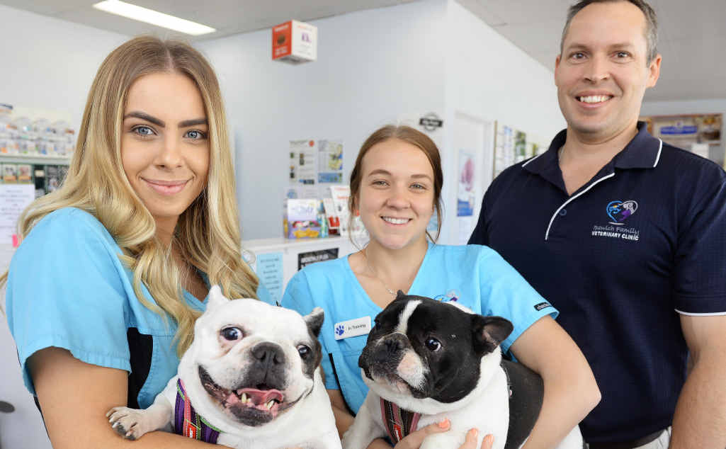 City Pride gives welcome boost to local vet clinic | The Courier Mail
