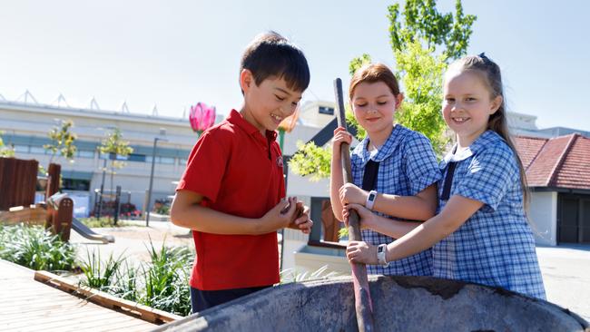 Students from Moonee Ponds Primary School Primary School planted trees with their families to Tote Park’s official completion