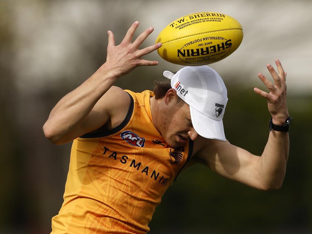 Hawthorn Hawks Training Session