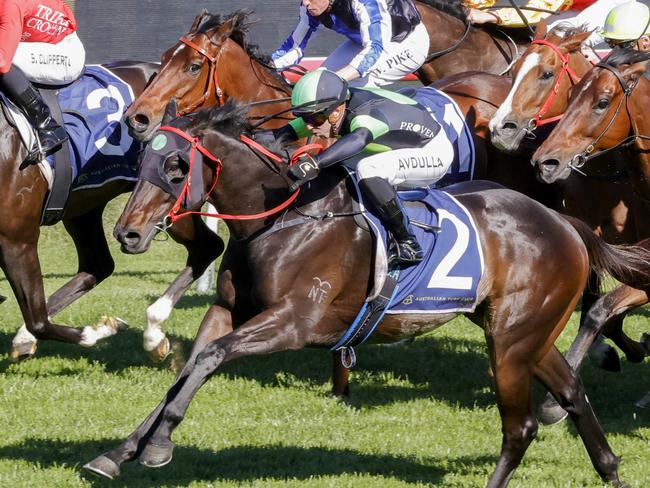 SYDNEY, AUSTRALIA - OCTOBER 29: Brenton Avdulla on Private Eye wins race 7 the Nature Strip Stakes during Sydney Racing at Rosehill Gardens on October 29, 2022 in Sydney, Australia. (Photo by Jenny Evans/Getty Images)