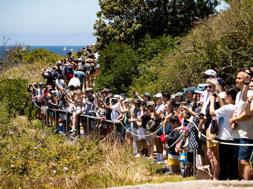 sydney to hobart yacht race start