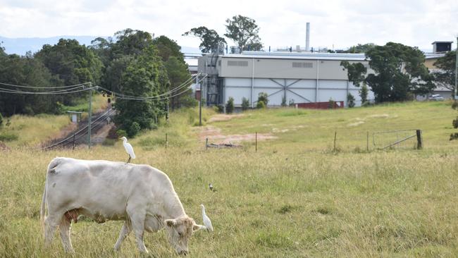 Northern Cooperative Meat Company in Casino.