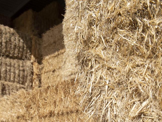 GRAIN: Export Hay - Mark Cossar at Natte YallockMark Cossar on his farm at Natte YallockPICTURED: Generic hay. Hay bales. Big squares. Hay in shed. Oat and hay.  Stock photo.Picture: Zoe Phillips