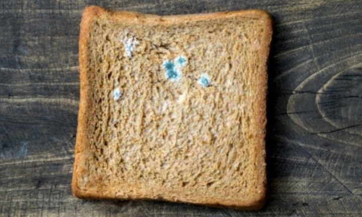Does cutting mould off food make it safe: Science has the answer