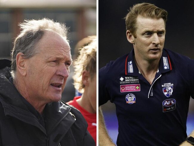 Greg Hutchison and Paul Groves have been appointed Big V coaches.