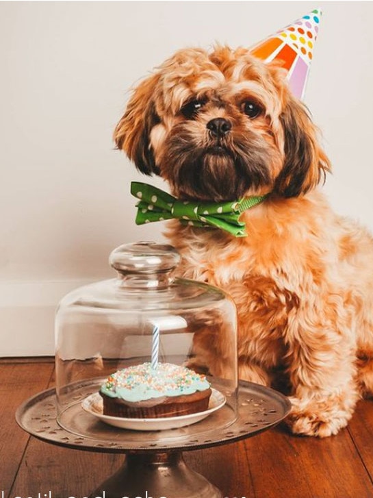 Wagalot’s DIY birthday cake can be made in 2 minutes. Picture: Instagram