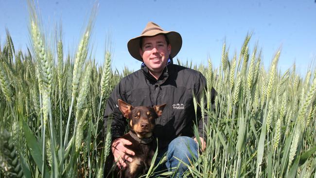 Moulamein grain grower Lloyd Polkinghorne, and his Kelpie Jack, in 2012 before the shotgun accident.