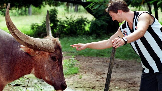 Palmerston Magpies captain Mark Tyrrell 'psyches out' Buffy before the NTFL 2001 grand final against the Darwin Buffaloes.