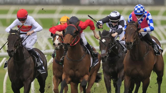 Five Kingdom (right) turned in a handy effort first-up and looks a good chance in an open race. Picture: Getty Images