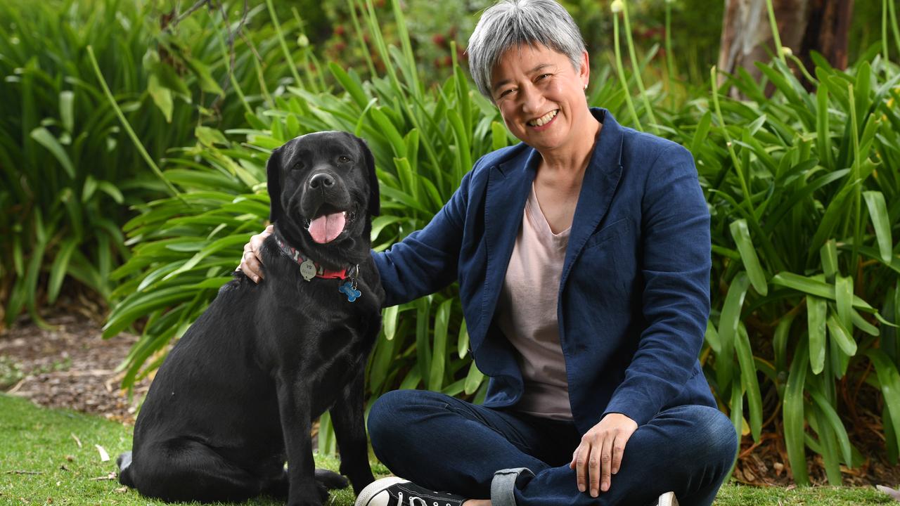 Penny Wong with her black labrador, Shadow, who is featured in The Advertiser Foundation’s special Power Pets caledar.. Picture: Tricia Watkinson