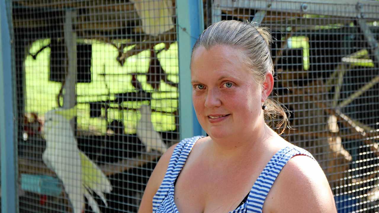 HELP NEEDED: Kirsty Lax, stands in front of a cage with several Sulphur Crested Cockatoos and macaws that she cares for. Picture: Dominic Elsome