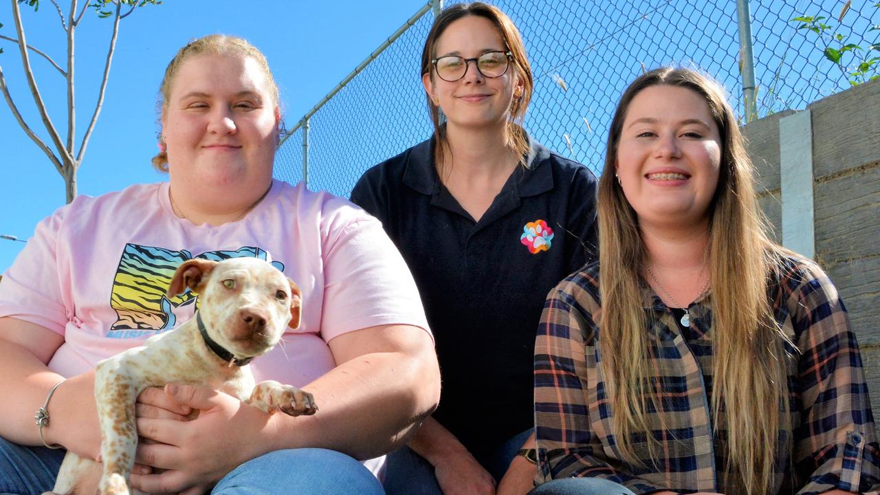 At the RSPCA Toowoomba animal shelter are (from left) Charleigh Dyball, Bianca Martin and Tally Allwood with Hugo the cattle dog cross. Picture: Rhylea Millar