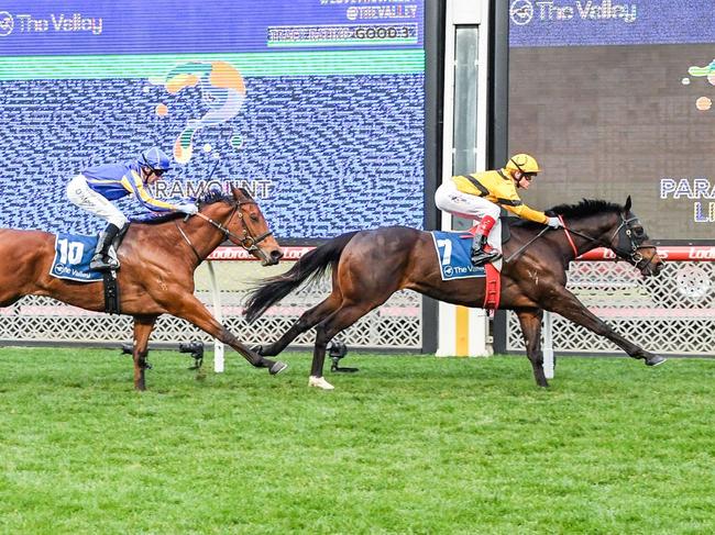 Acromantula ridden by Craig Williams wins the Paramount Liquor Carlyon Stakes at Moonee Valley Racecourse on August 26, 2023 in Moonee Ponds, Australia. (Photo by Brett Holburt/Racing Photos via Getty Images)