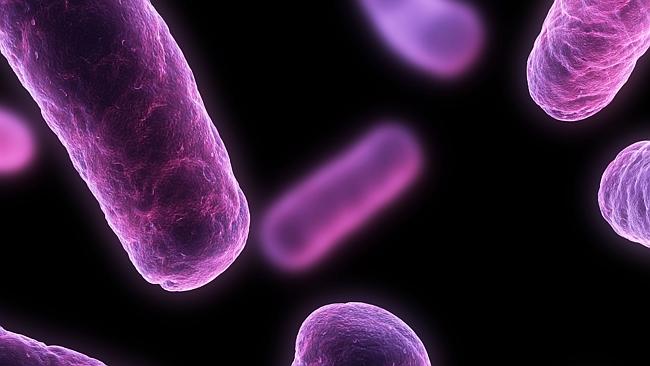 Superbug epidemic ... health experts say bacteria is adapting and can’t be curbed by existing drugs. Picture: Thinkstock