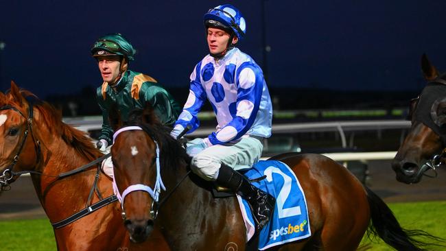 Devils Delight comes back to scale after winning at Pakenham last year. Picture: Morgan Hancock / Racing Photos