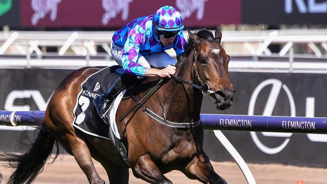 Pride Of Jenni was crowned the Australian Racehorse of the Year on Tuesday night. Picture: Pat Scala/Racing Photos via Getty Images