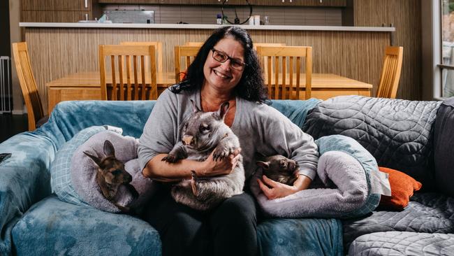 Kym Haywood with some critters at her Pumpkin Patch Kangaroo Sanctuary. Picture: Robert Lang