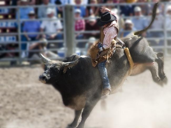 Bull riding generic