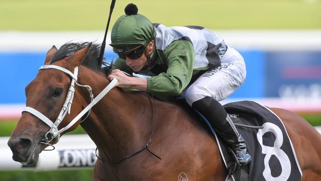 Shared Ambition has been racing well and gets a claim for Dylan Gibbons. Picture: AAP Image