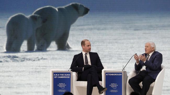 Prince William and Sir David Attenborough at the World Economic Forum in Davos. Picture: AP