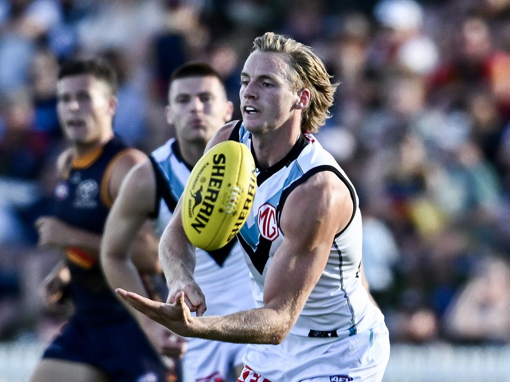 Miles Bergman is being chased by Victorian clubs. Picture: Mark Brake/Getty Images.