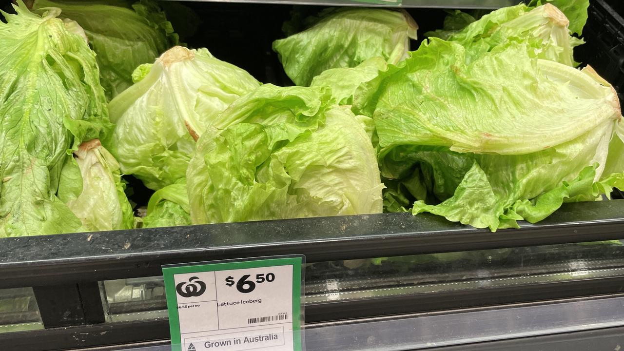 Iceberg Lettuce Coles Woolworths Prices Across State Revealed Daily