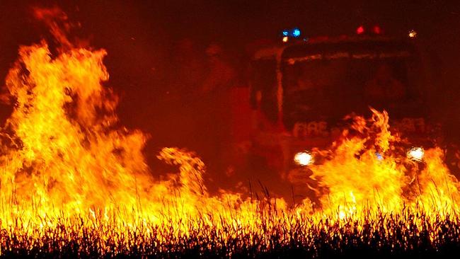 Police are offering a $1 million reward for information about who started bushfires that killed three people almost two decades ago. Generic photo.