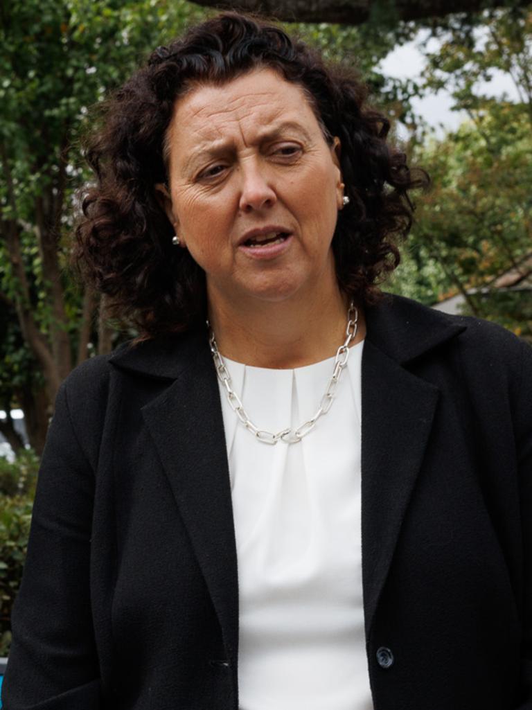Incumbent Monique Ryan. Picture: Nadir Kinani
